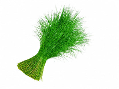 Green Grass (Arugampul) 20g