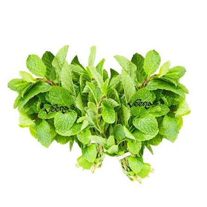 Fresh Mint Leaf (Pudina) (Bunch of 2)